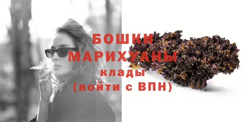 где купить наркотик  Анива  Шишки марихуана Bruce Banner 